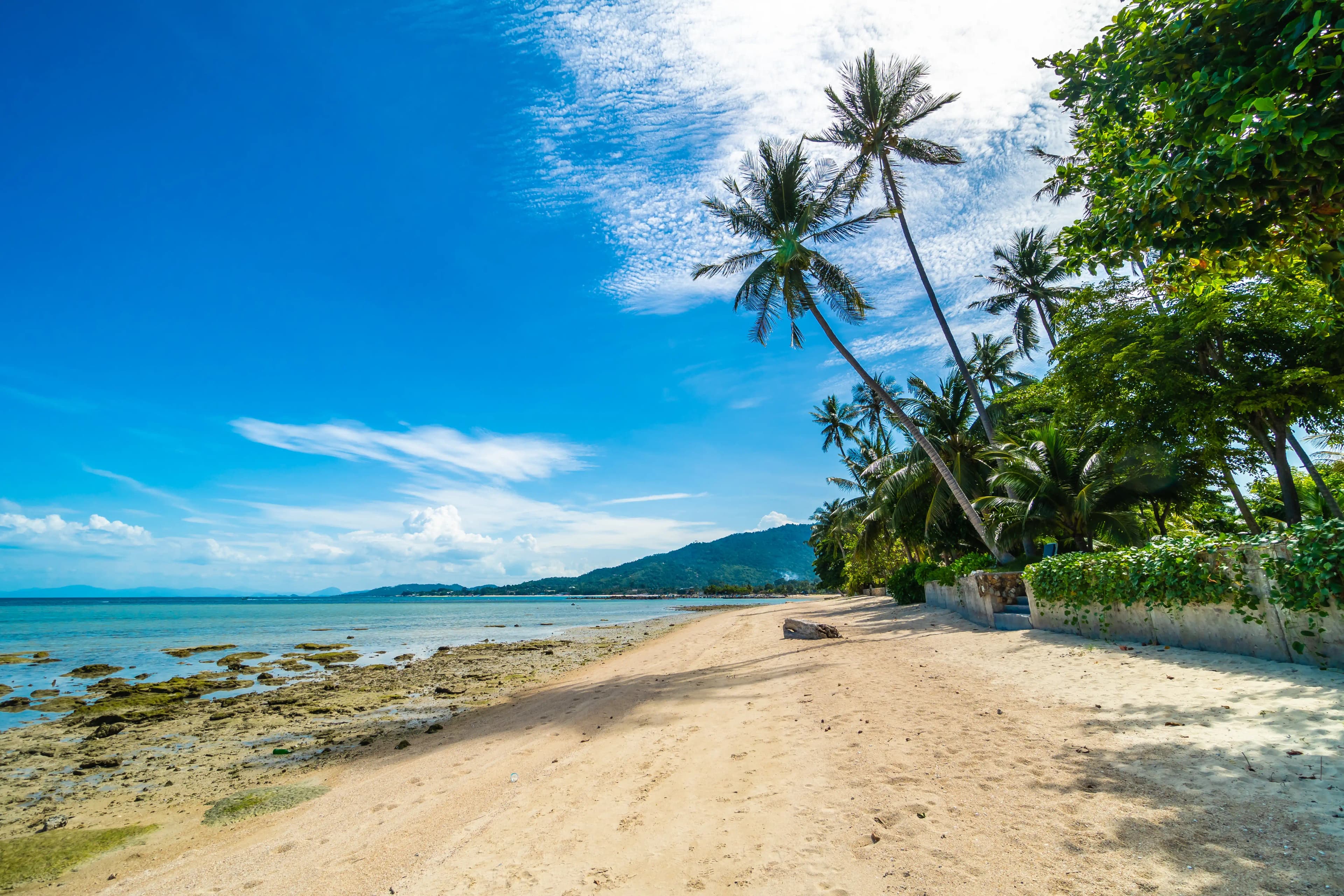 Find hotels across Fiji and international destinations