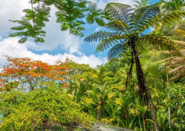 Garden of the Sleeping Giant